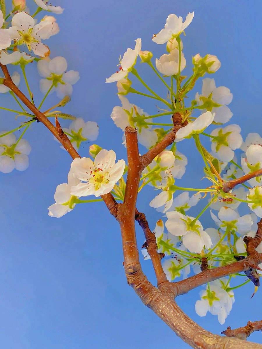 Simao Ferreira tweet media