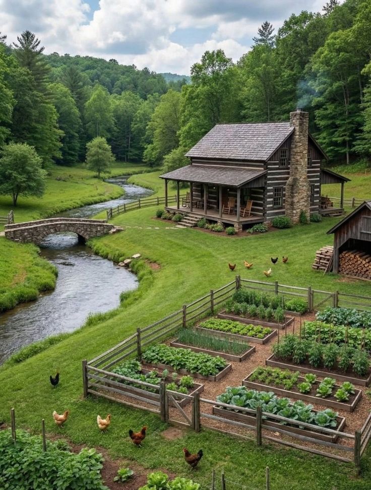 Dear Son. tweet media