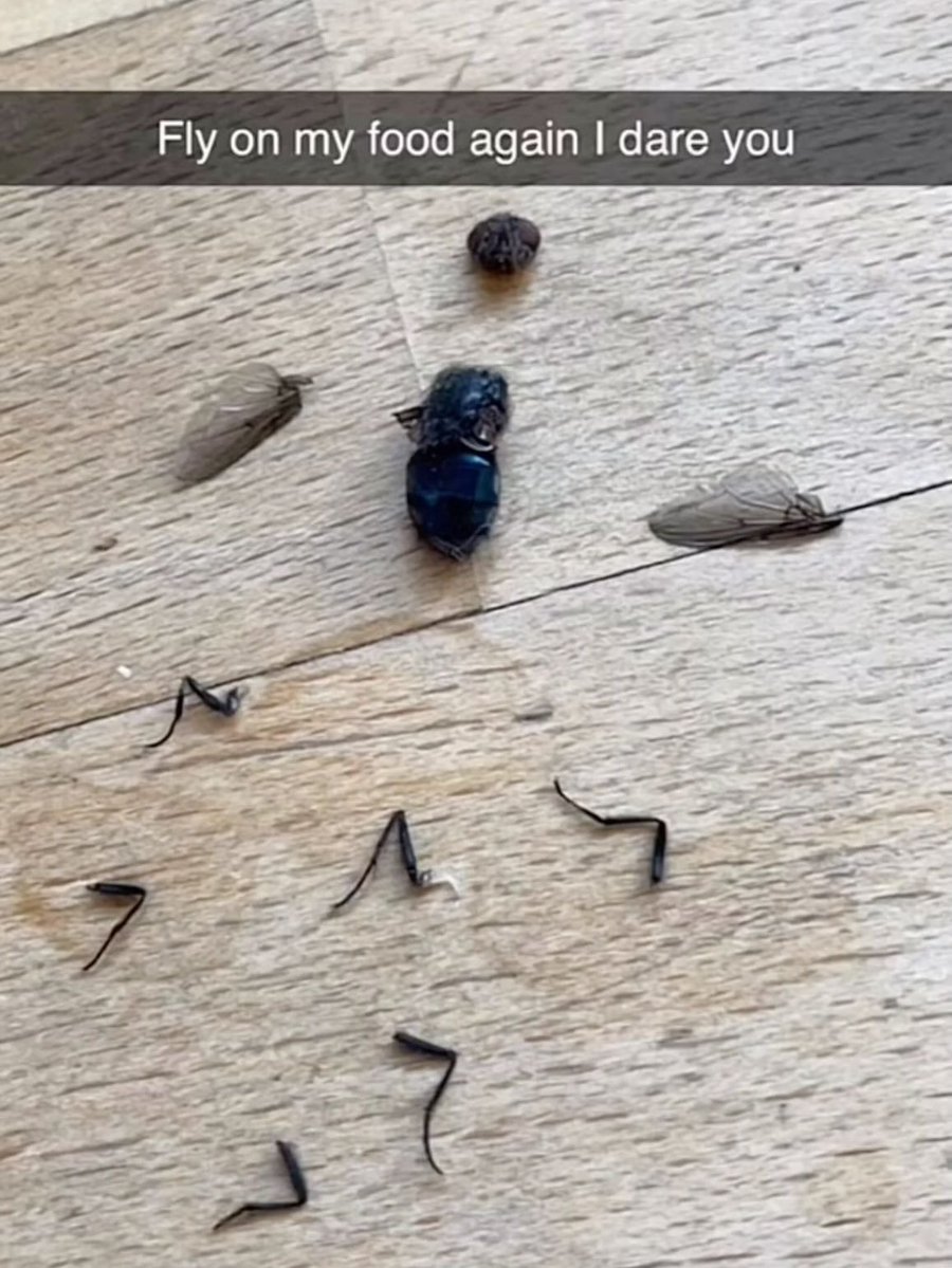 brainrot dimension tweet media