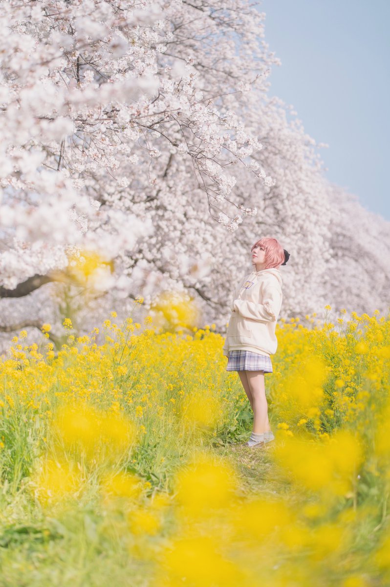 🐏🌸 tweet media