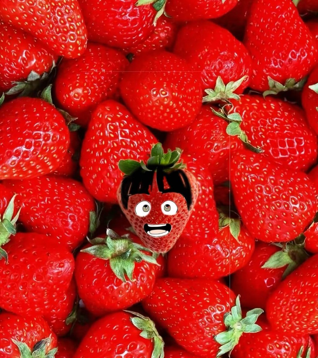 kiwisclouds's tweet photo. silly strawberry and it's silly cat 🍓😺
#cheolmiae #aslfua https://t.co/CDkIPPYsWa