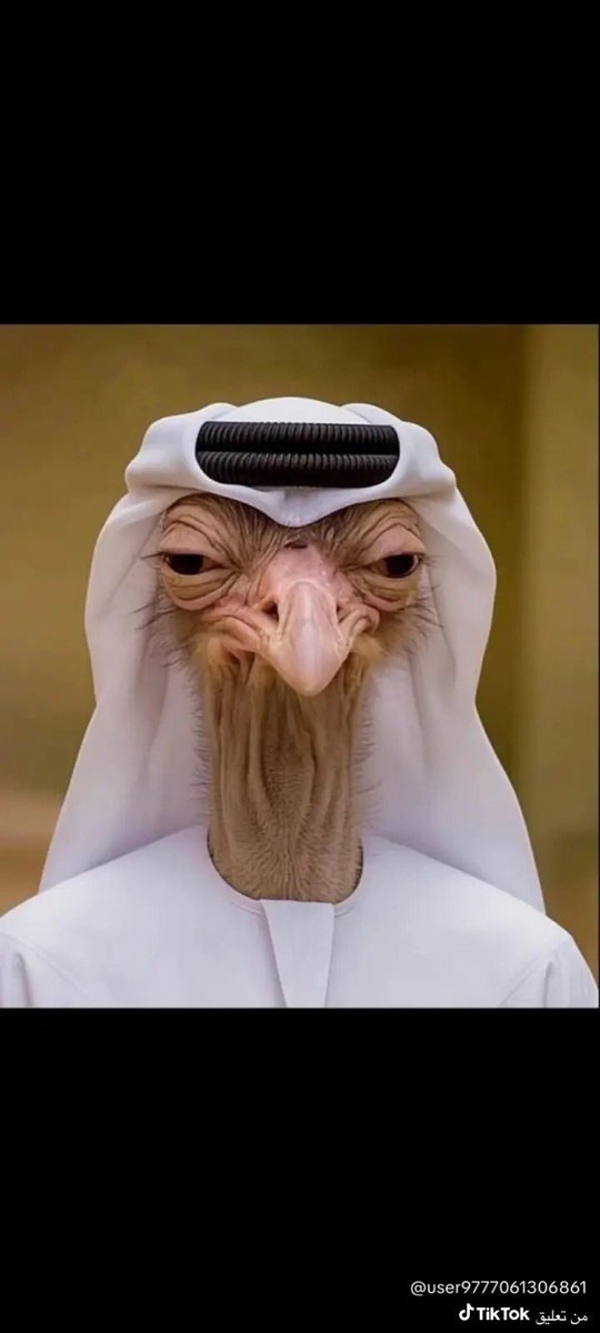 ููุณุช๐ธ๐ฆ tweet media