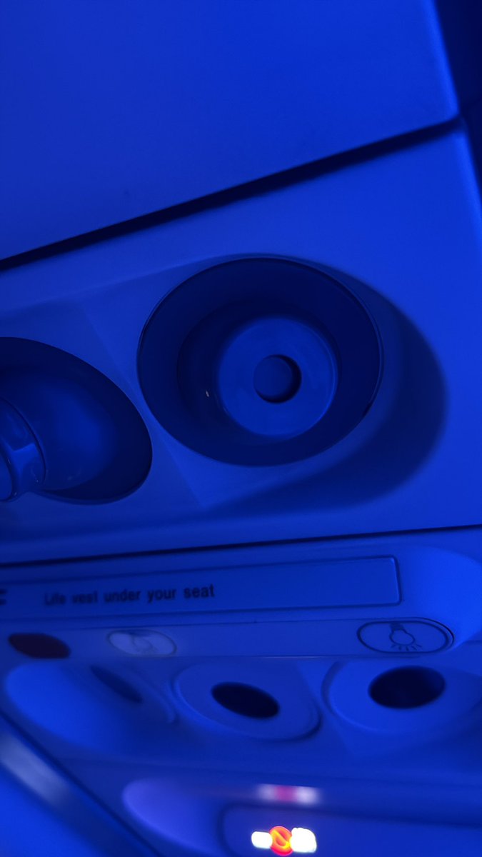 britton winterrose tweet media