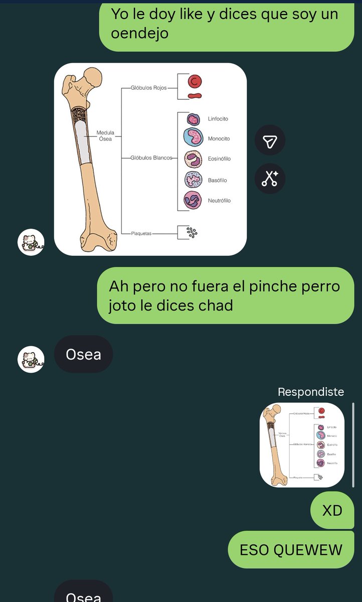 MKGhostyØ tweet media