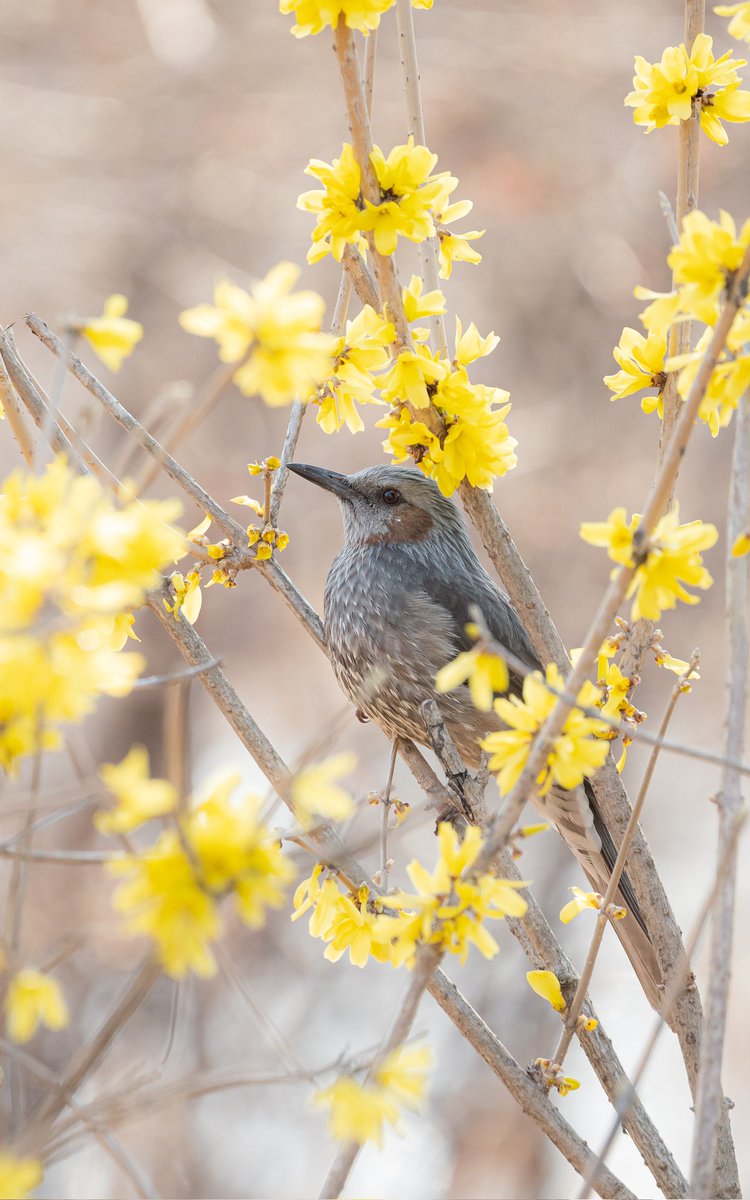 조각조각 tweet media