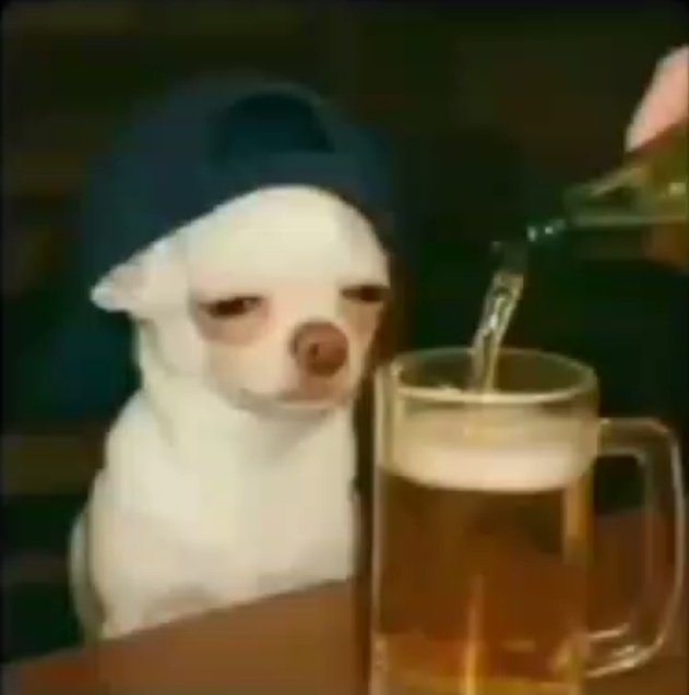 Jont3ll 001 tweet media