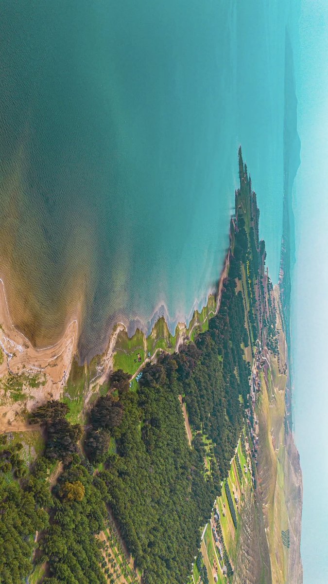 Levantine Logic tweet media