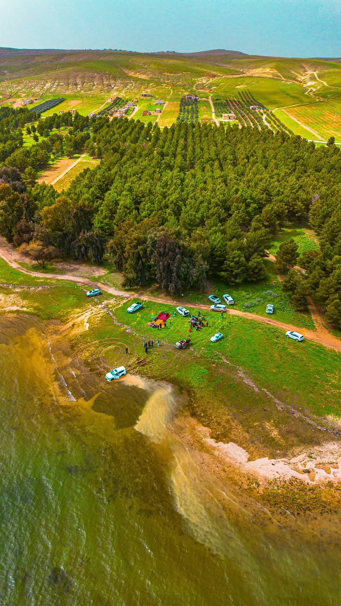 Levantine Logic tweet media