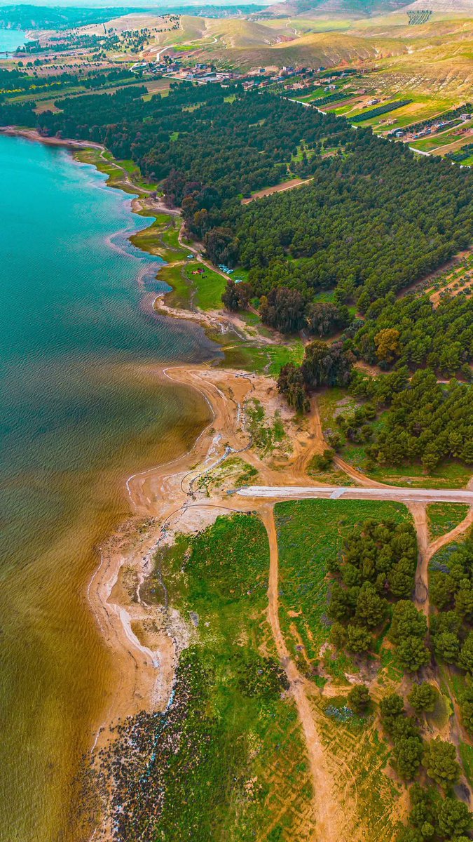 Levantine Logic tweet media