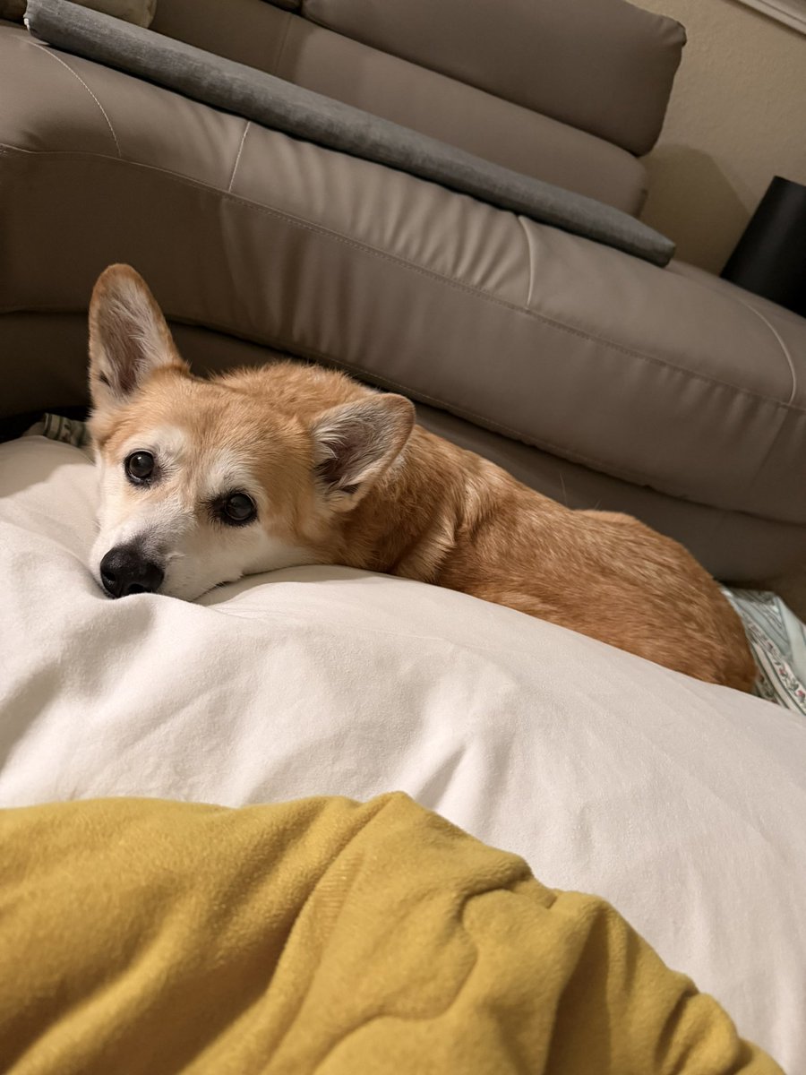 캡틴 일기 tweet media