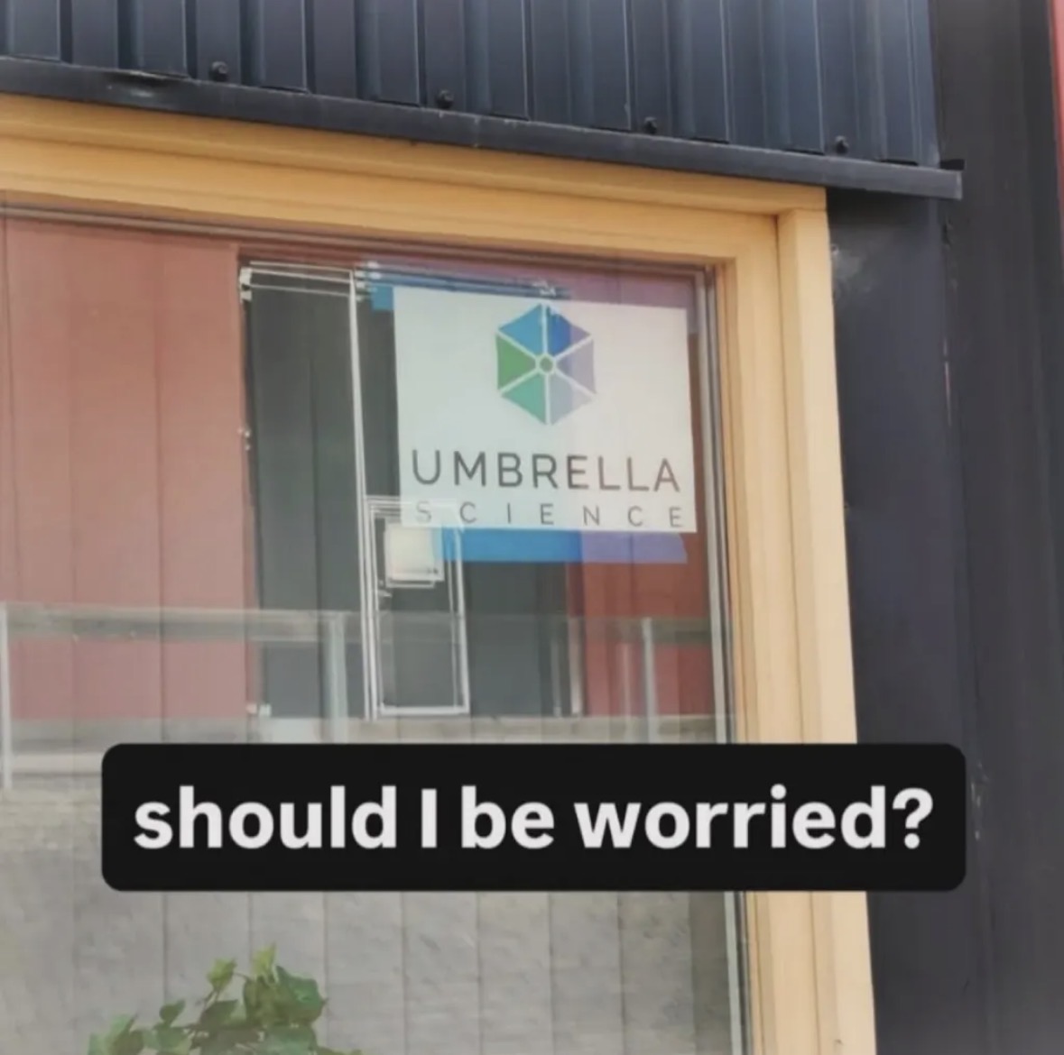 Your Typical Local Man tweet media