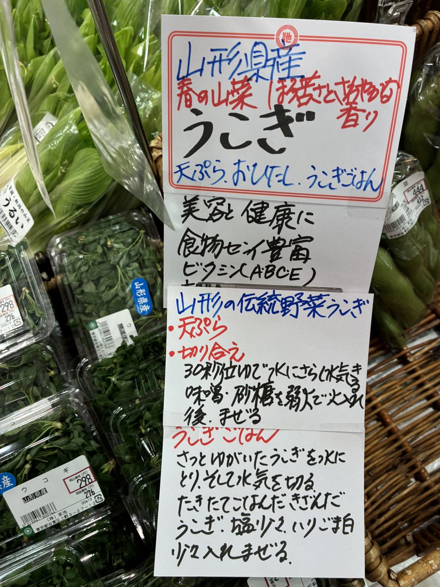 yoshiike_group's tweet photo. 山形県の伝統野菜　うこぎ⁉️
上杉鷹山が垣根に植え
漢方の強壮剤　旬の野菜とし奨励した

天ぷら　おひたし
切り和え　うこぎごはん
などなど https://t.co/kznLHqKLdB