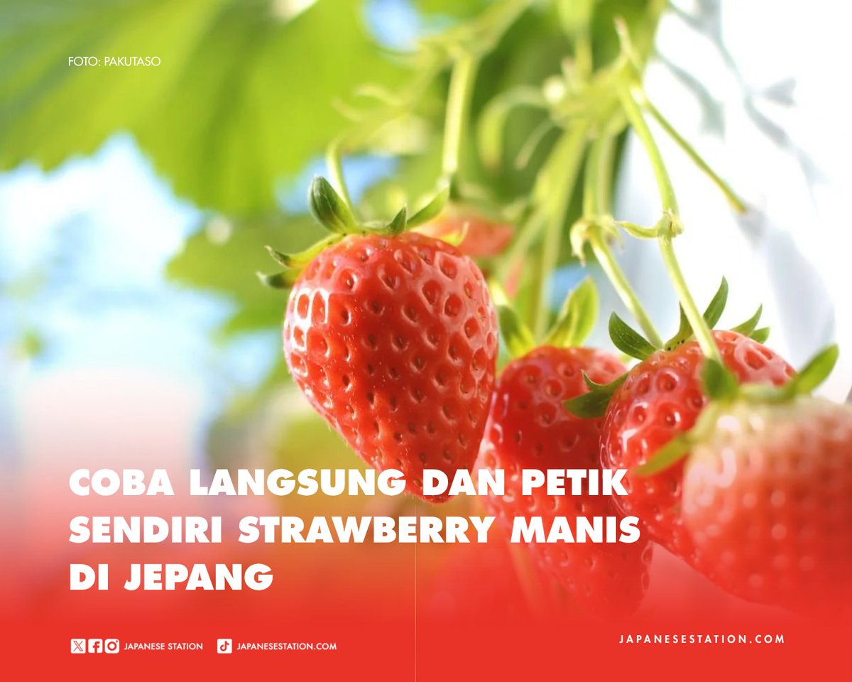 Japanese Station™ tweet media