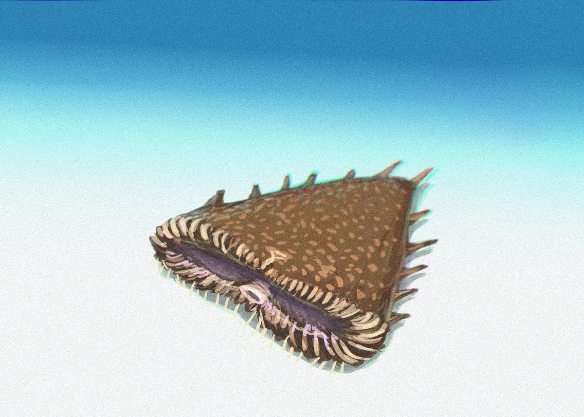 Joschua Knüppe tweet media