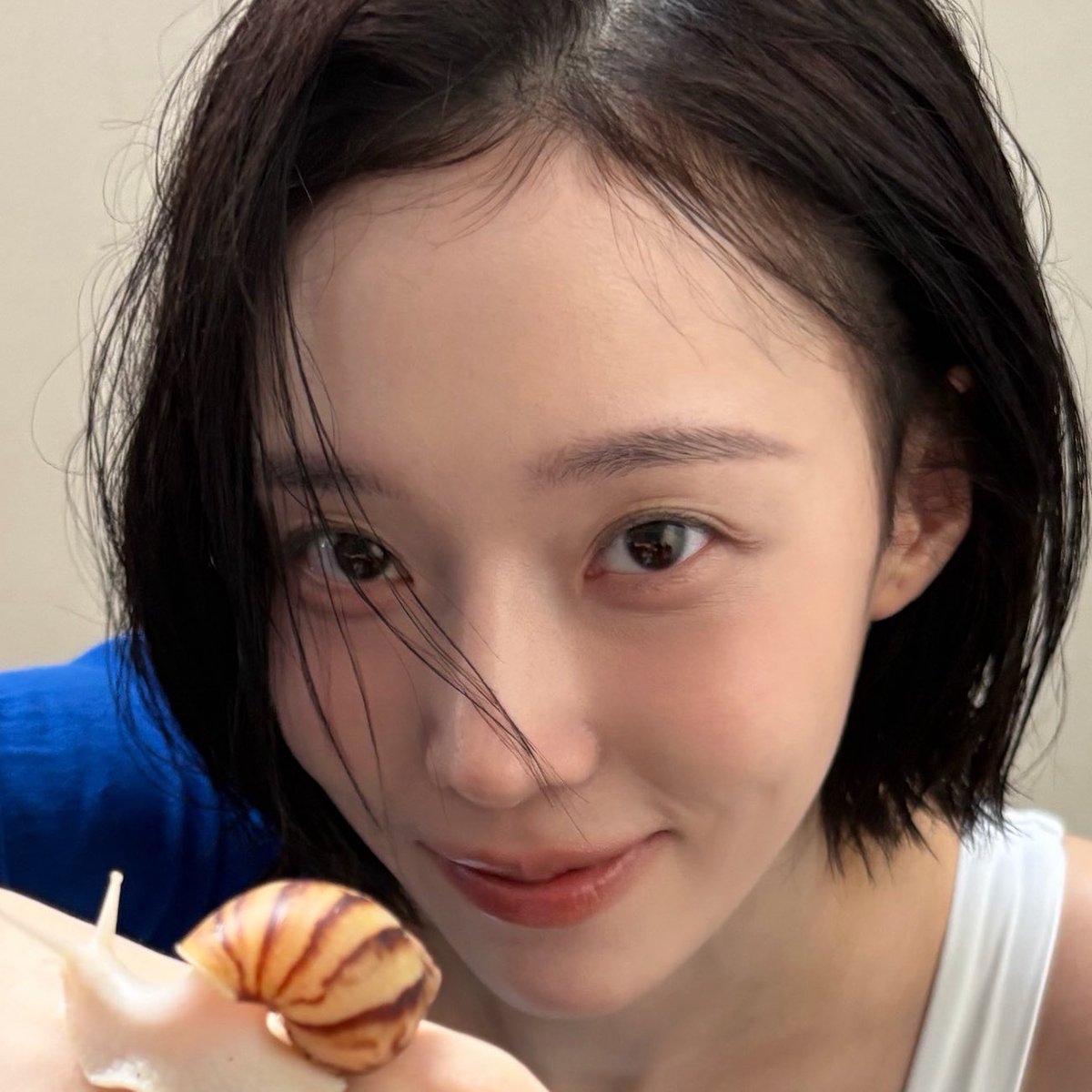 와타시 tweet media