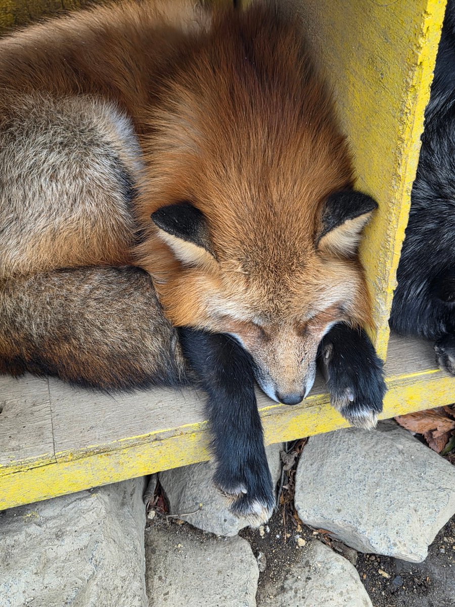 ゆうき tweet media