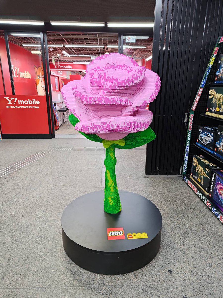 ヨドバシ 梅田店 tweet media