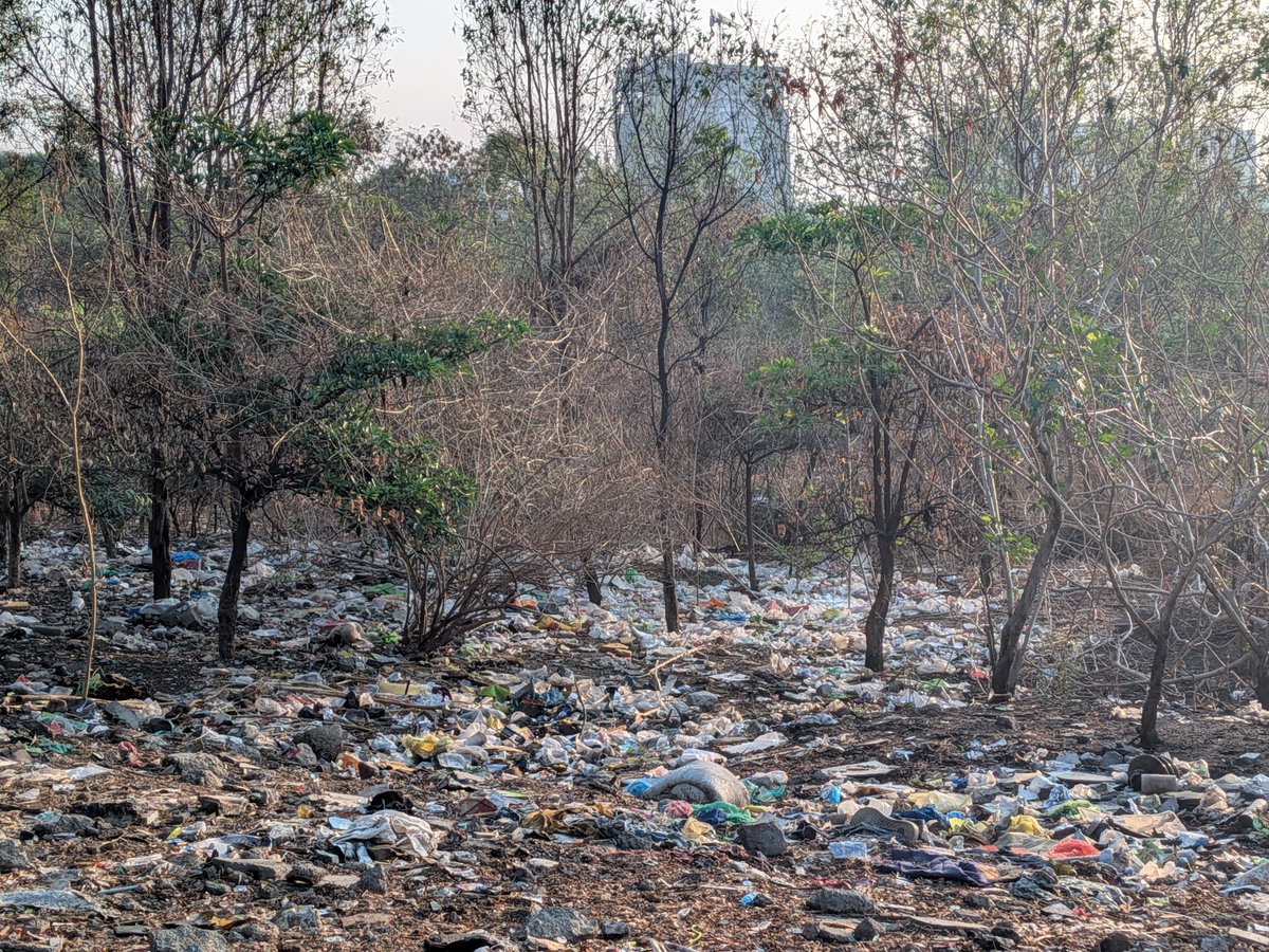 sushma date tweet media