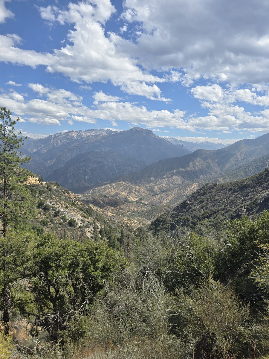 HightechRedneck tweet media