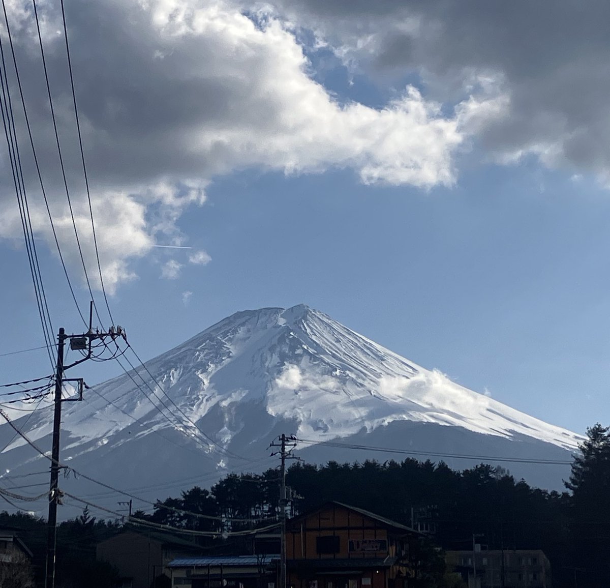 Halder Japan tweet media