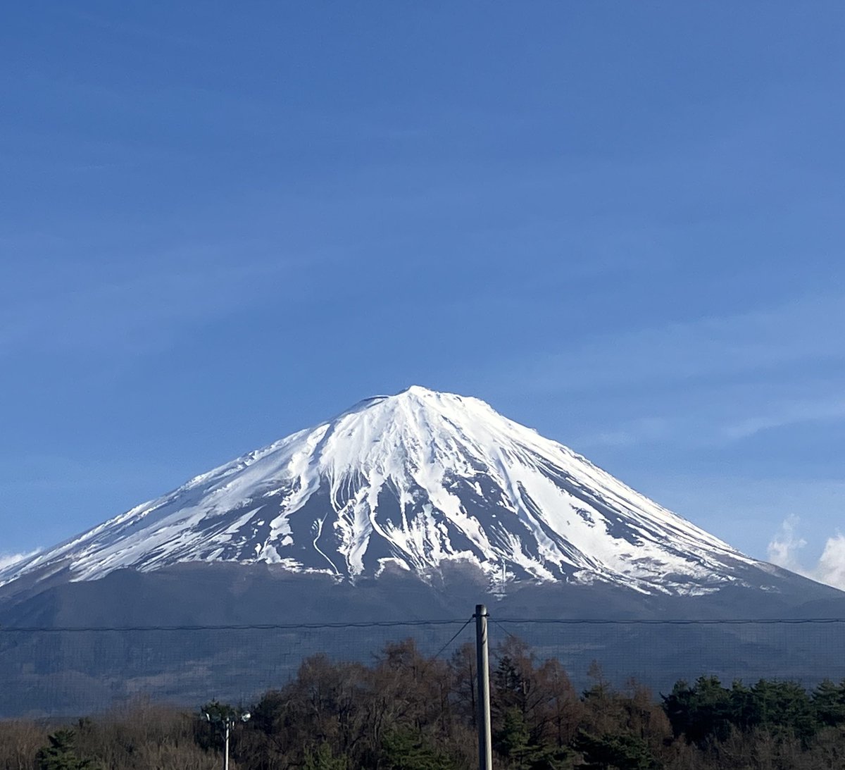 Halder Japan tweet media