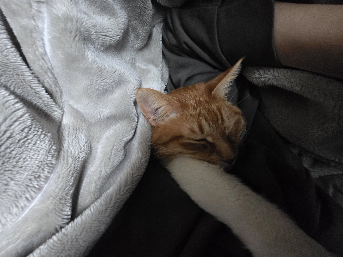 ぷっか tweet media