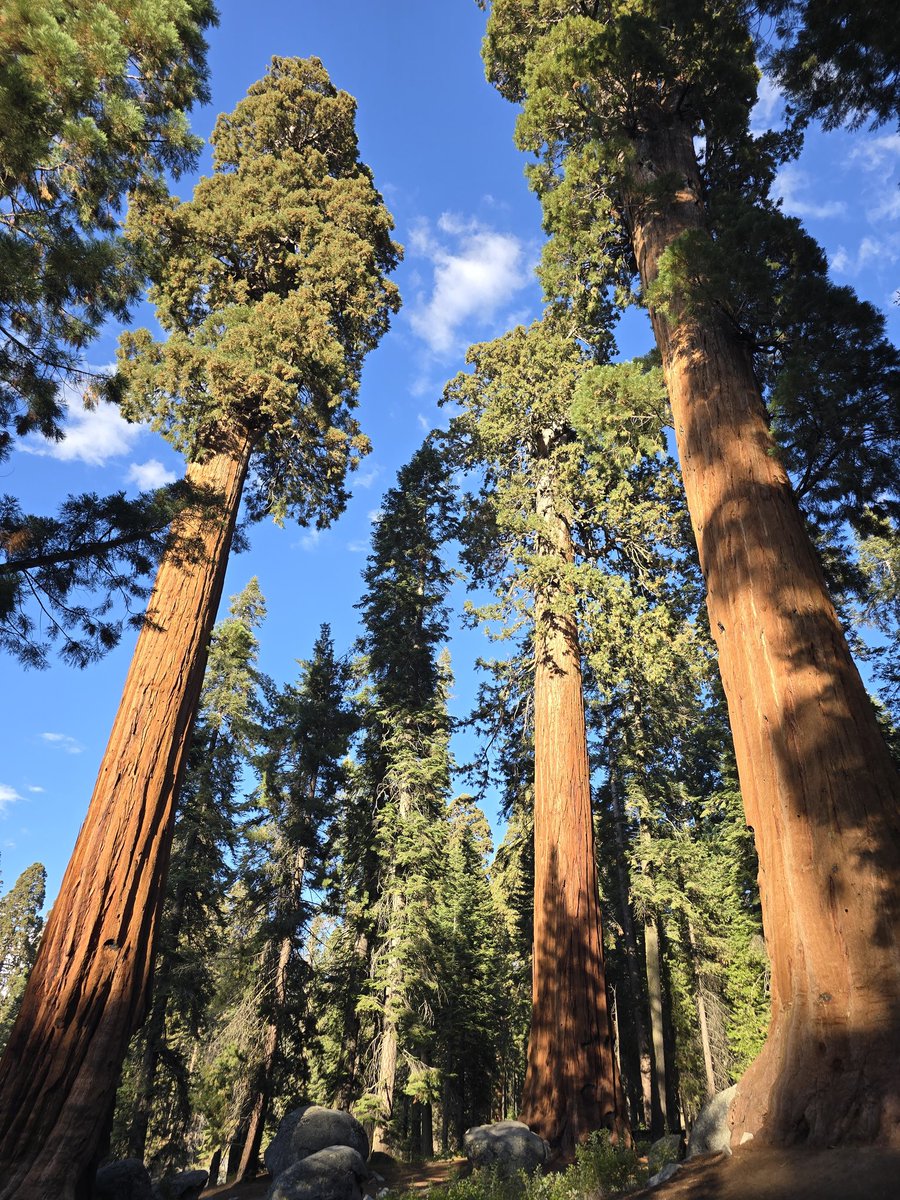 HightechRedneck tweet media