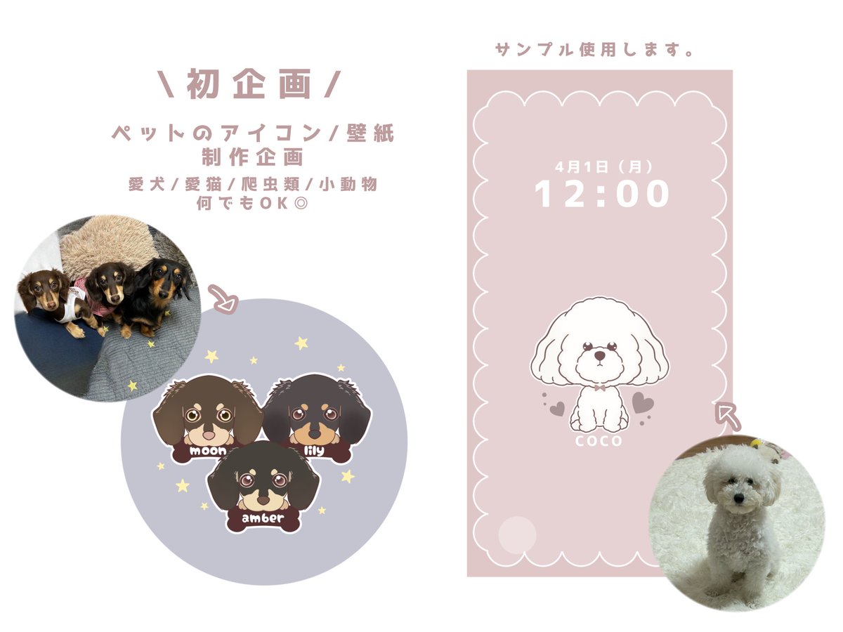 Mirechi_0's tweet photo. \ 初企画 /

ペットのアイコン/壁紙 制作企画🐶🐱🐹🐭
( 犬 猫 爬虫類 小動物 両生類 なんでも◎)

参加条件 ▶︎ RT(リポスト) フォローは任意♡
当選人数 ▶︎ 2~3名
参加方法 ▶︎ リプ欄にペット様のお写真と名前を♡

#似顔絵 #イラスト #無償企画 https://t.co/Z5Y0NOiI6p