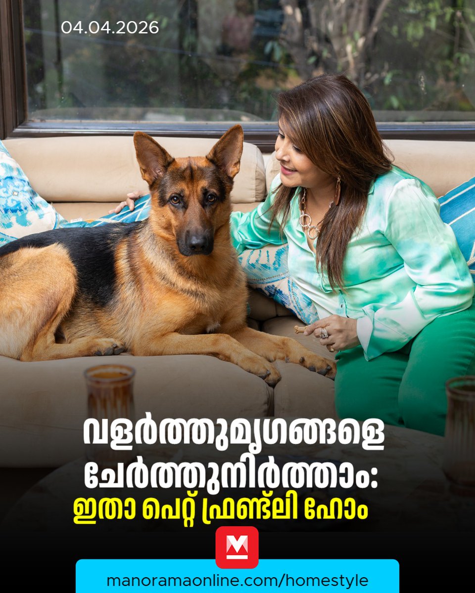 manoramaonline's tweet image. വീടിനുള്ളിൽ വളർത്തുന്ന അരുമകൾക്ക് പെരുമാറ്റ പരിശീലനം നൽകാതിരിക്കുന്നത് ഫർണിച്ചറുകൾ നശിപ്പിക്കുന്നത് പോലെയുള്ള നഷ്ടങ്ങൾക്ക് കാരണമാകാം... #ManoramaonlineHomestyle #Homestyle #Petdog   

Read : mnol.in/14m6w4m