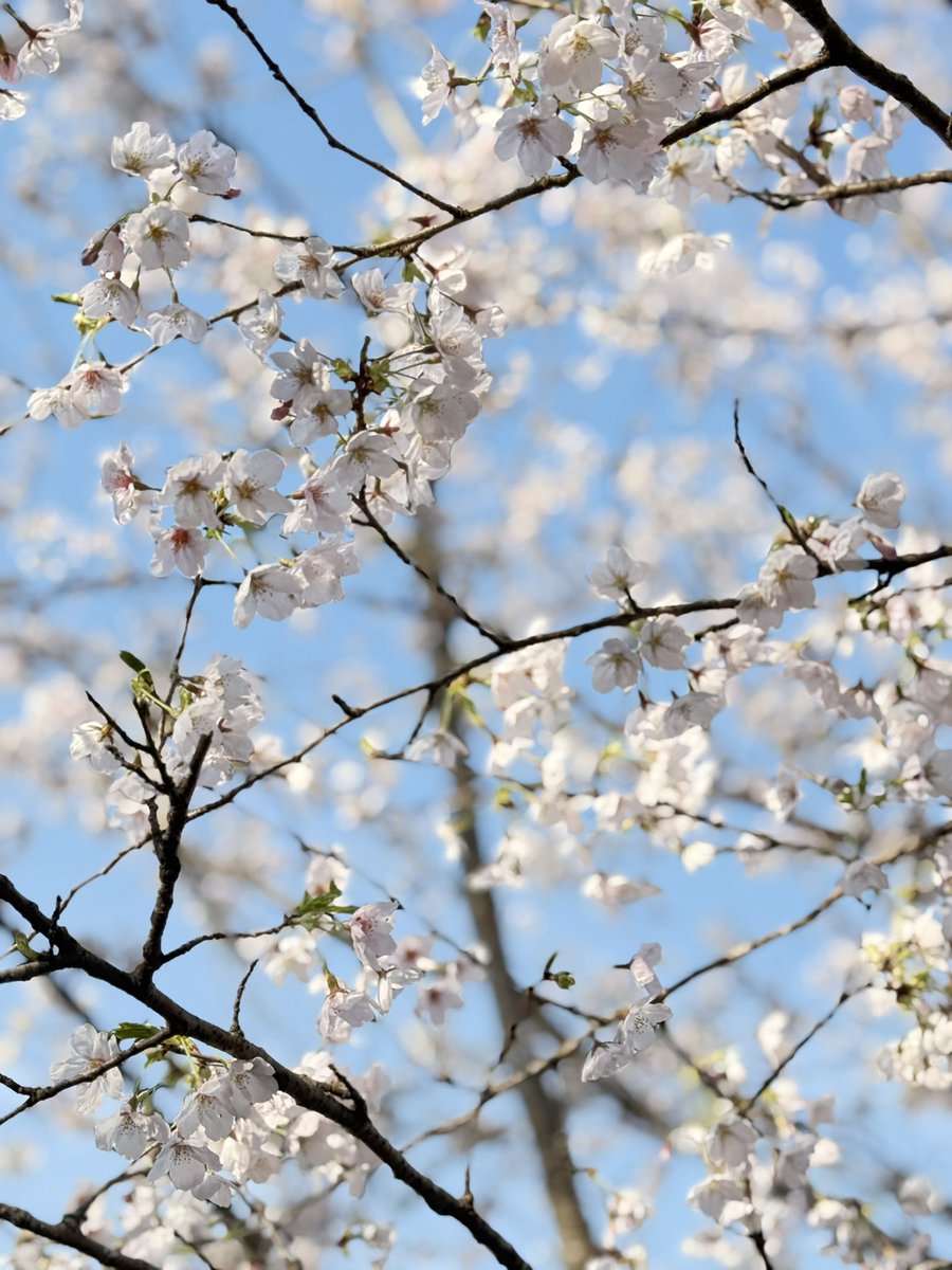 らむらむ tweet media