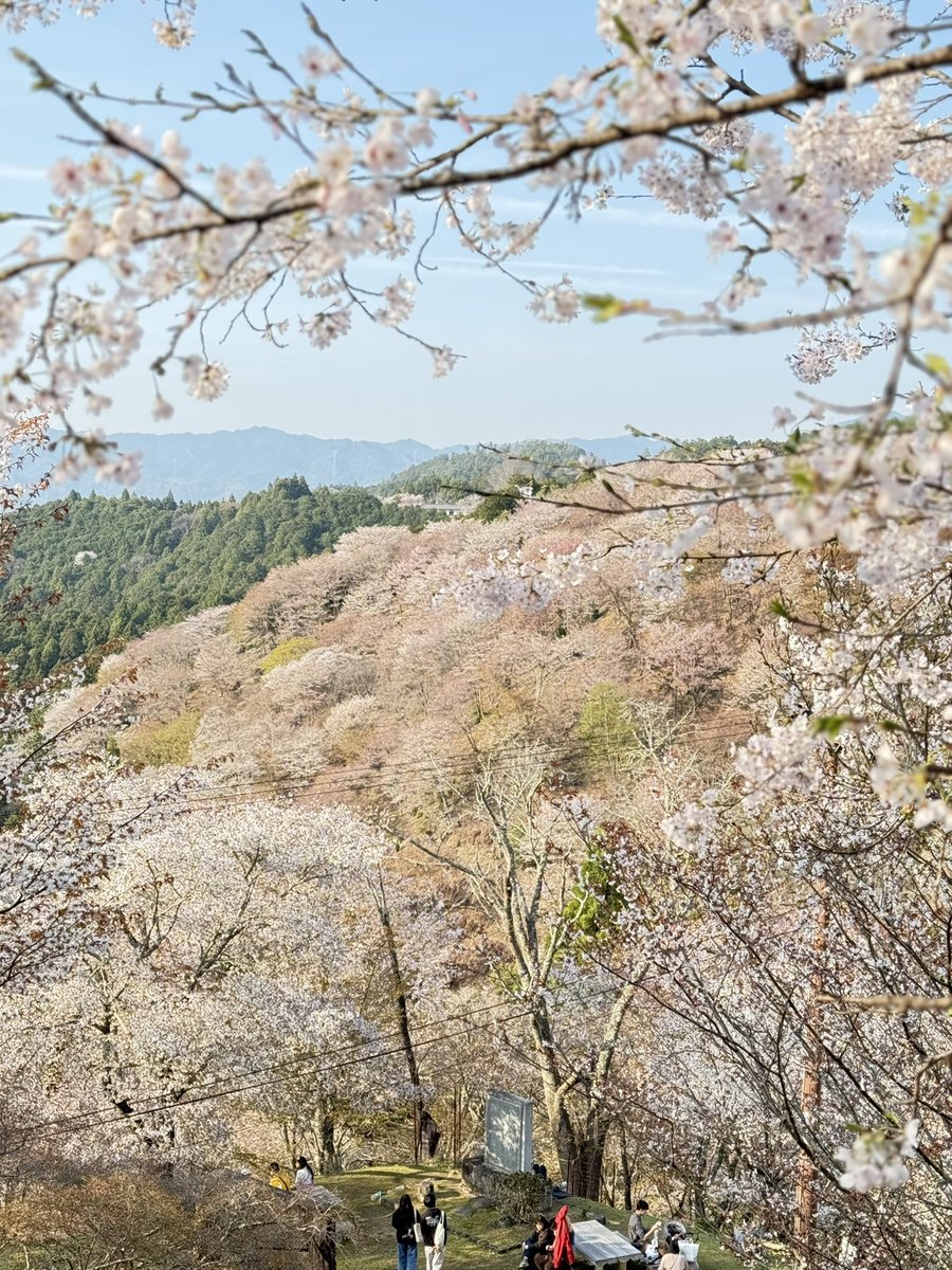 らむらむ tweet media