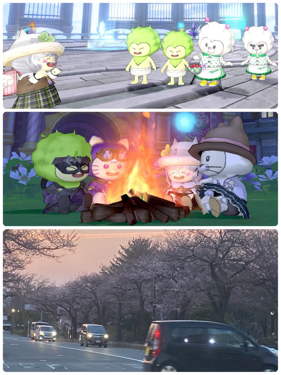 こむぎちゃん tweet media