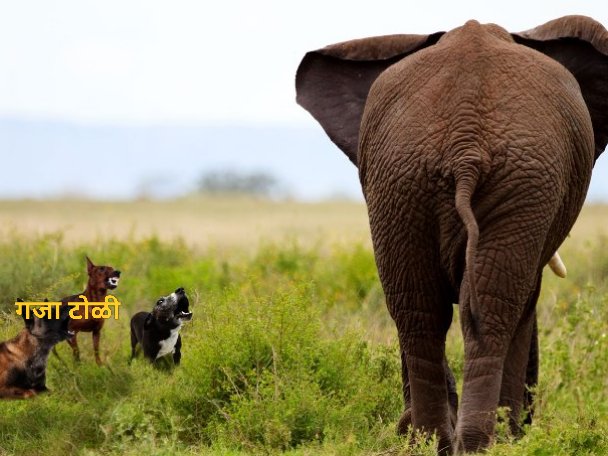 बाबू भाई tweet media