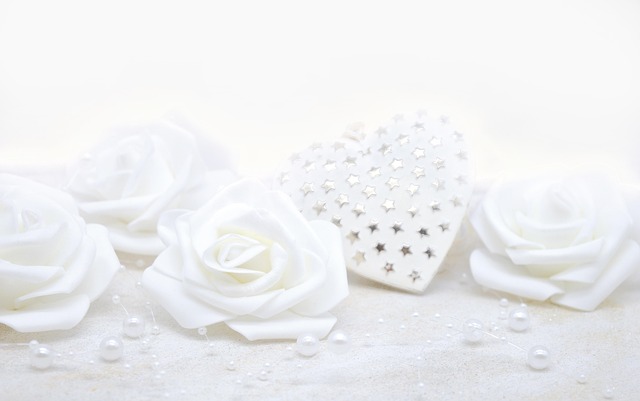 Brandy Vigil tweet media