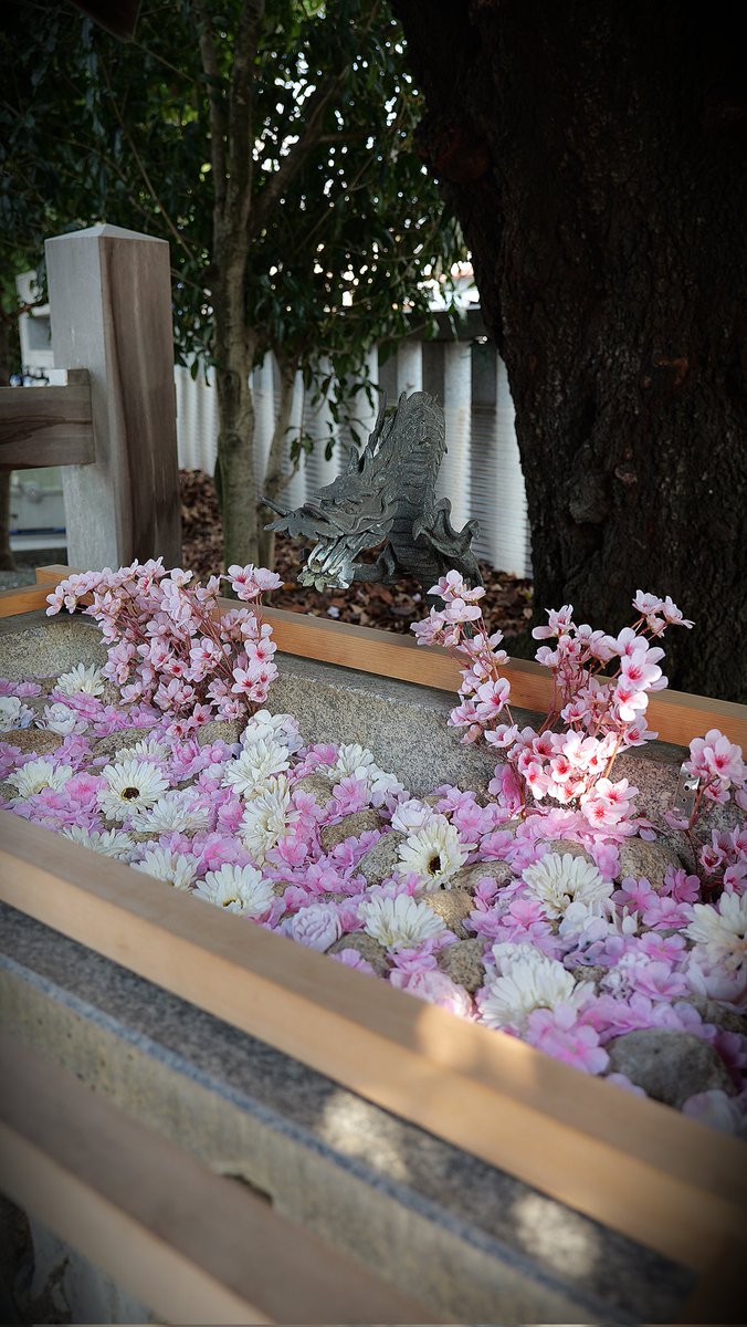 Happy Tree Films | Kazu tweet media