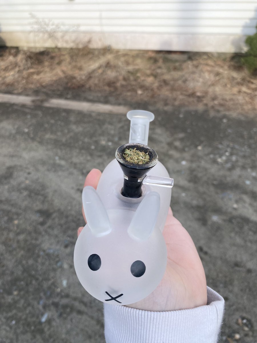 _420_jellyfish_'s tweet image. Here is a close up of my little guy! 🐇🐰

I got him from the Daily High Club! It’s a website where they sell monthly boxes of themed smoking pieces 🥰 this is from the Alice in wonder land box 
#weedtwt #bongrips
