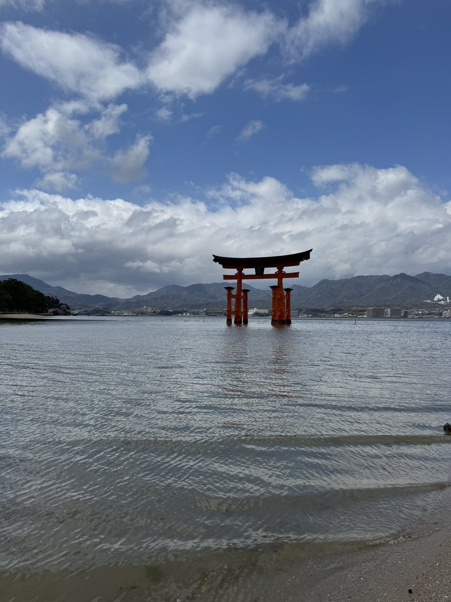 バールのようなもの🐾 tweet media