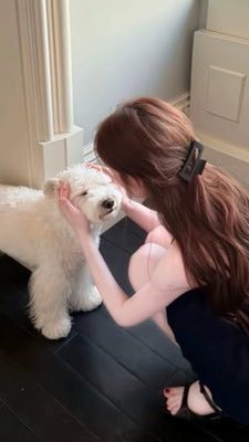 Alexandre DelannoyThierry tweet media