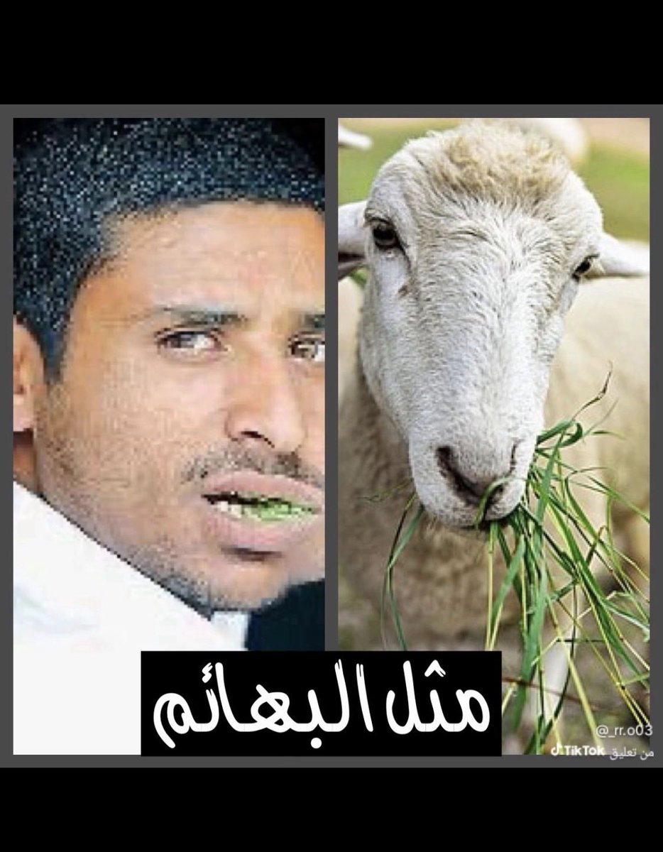 MALEK 511🇸🇦 tweet media