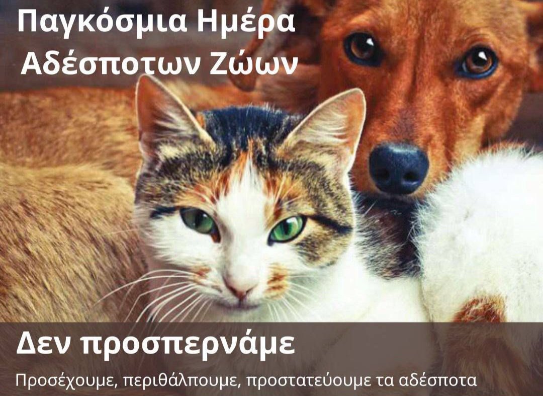 adespotos_'s tweet photo. Μην τα εγκαταλείπετε. Αγαπήστε τα. Βοηθήστε τα. Μόνο εμάς έχουν 🙏🙏🐾🐾🐾😢 https://t.co/gvKYL0SuhO