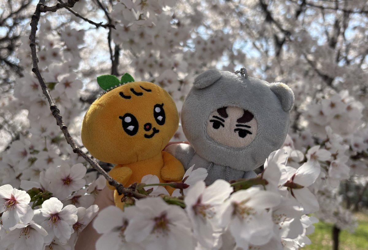 BooForYouKR tweet media