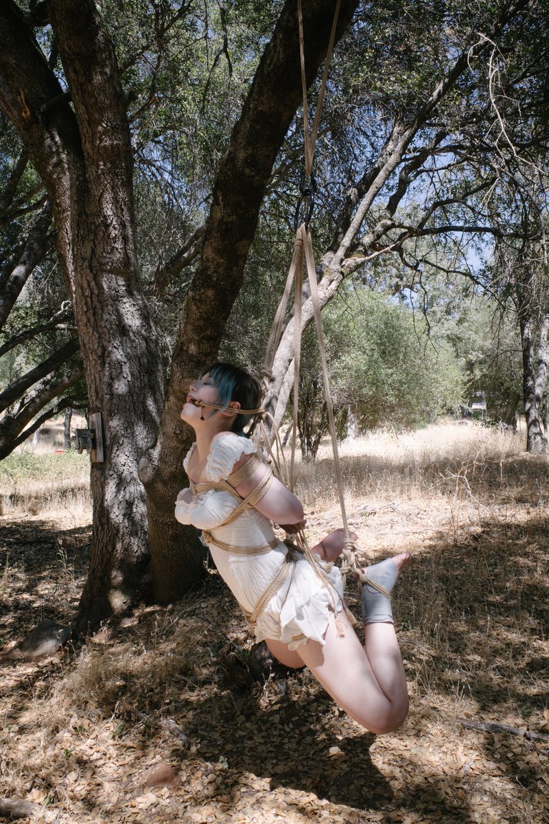 空空悉尼现充版 tweet media