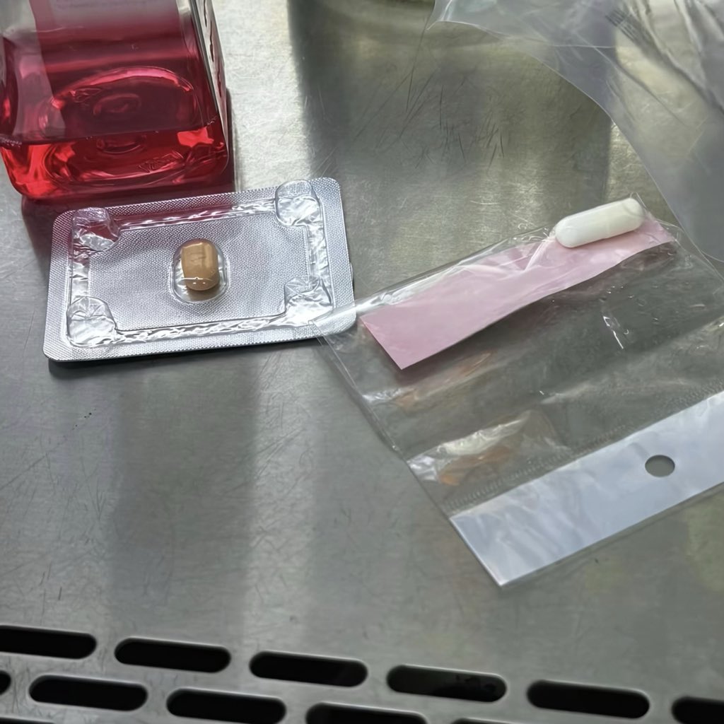 فاطمة الشريف🪸 tweet media