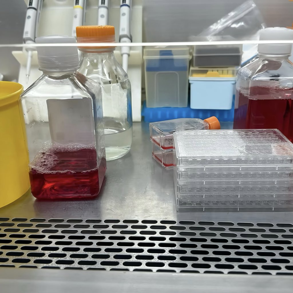 فاطمة الشريف🪸 tweet media