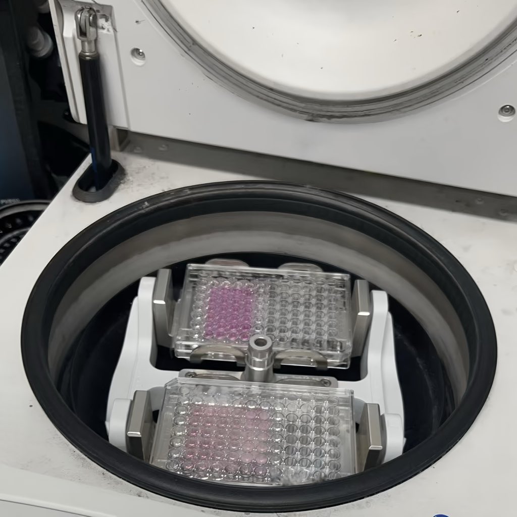 فاطمة الشريف🪸 tweet media