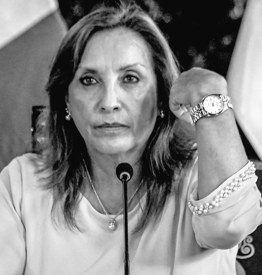 La Salita del SIN 🇵🇪 tweet media