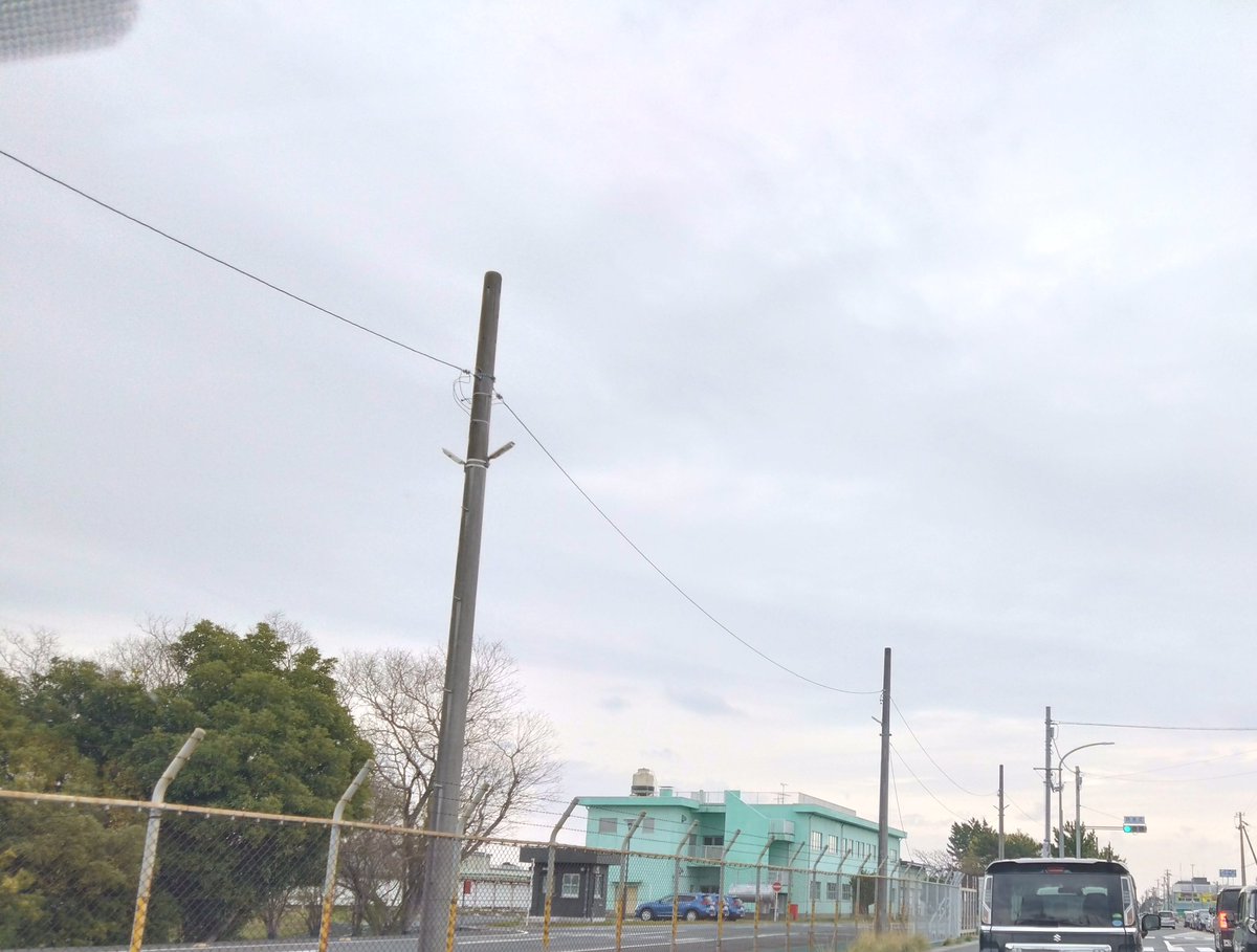 のぶりん tweet media