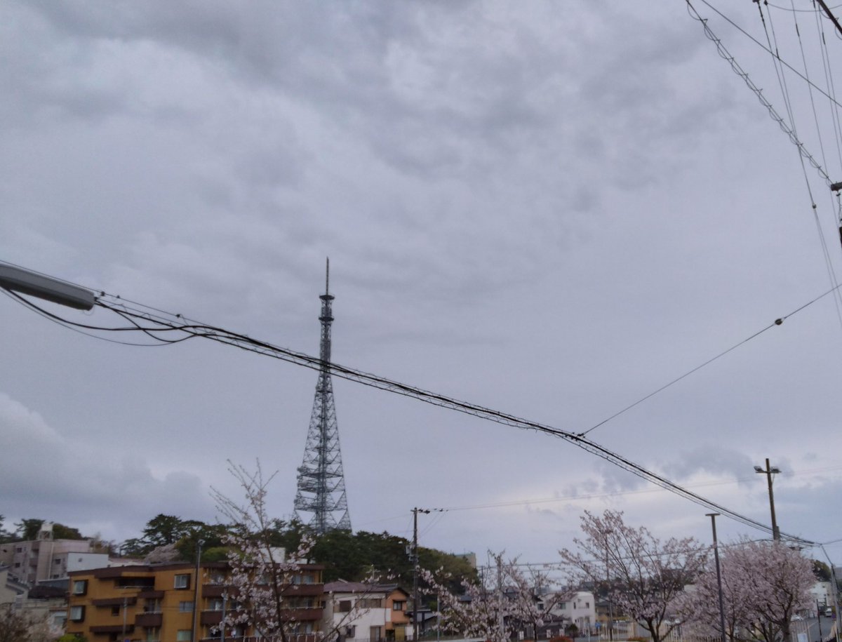 のぶりん tweet media