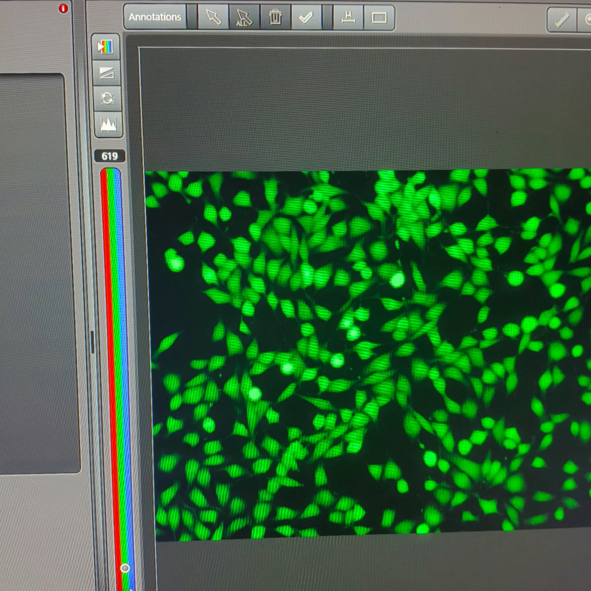 فاطمة الشريف🪸 tweet media