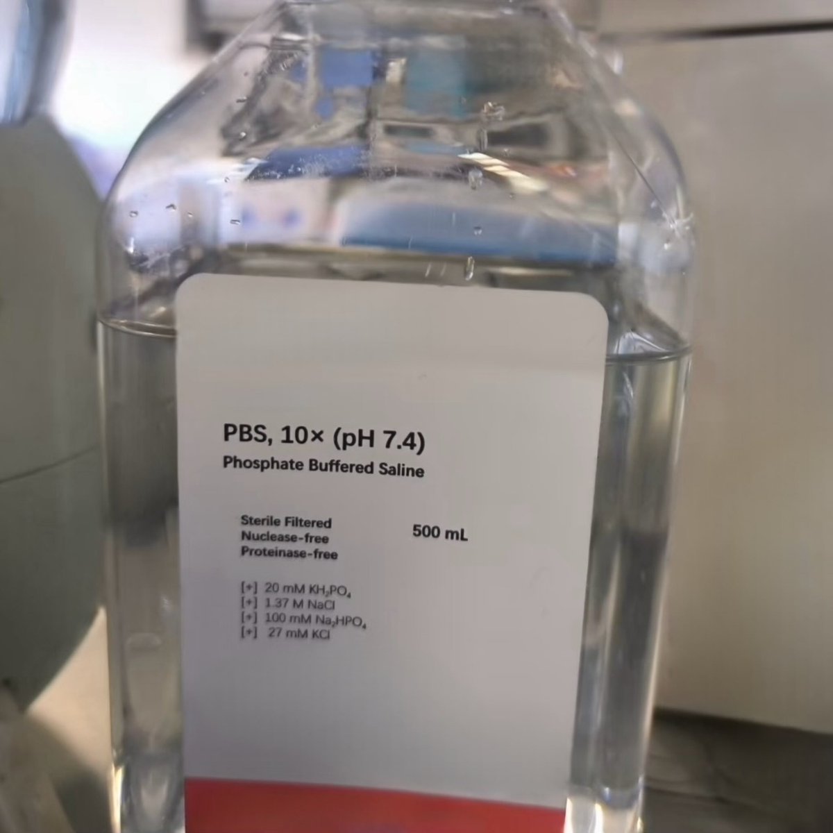 فاطمة الشريف🪸 tweet media